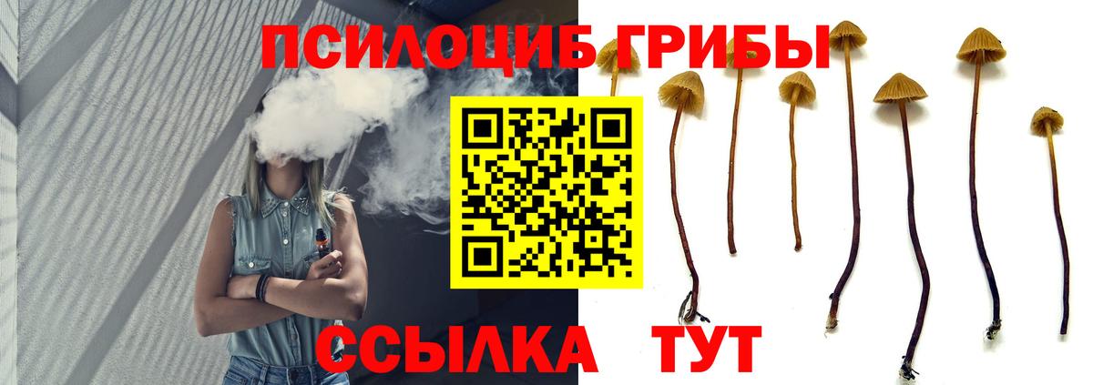Галлюциногенные грибы прущие грибы Новочеркасск